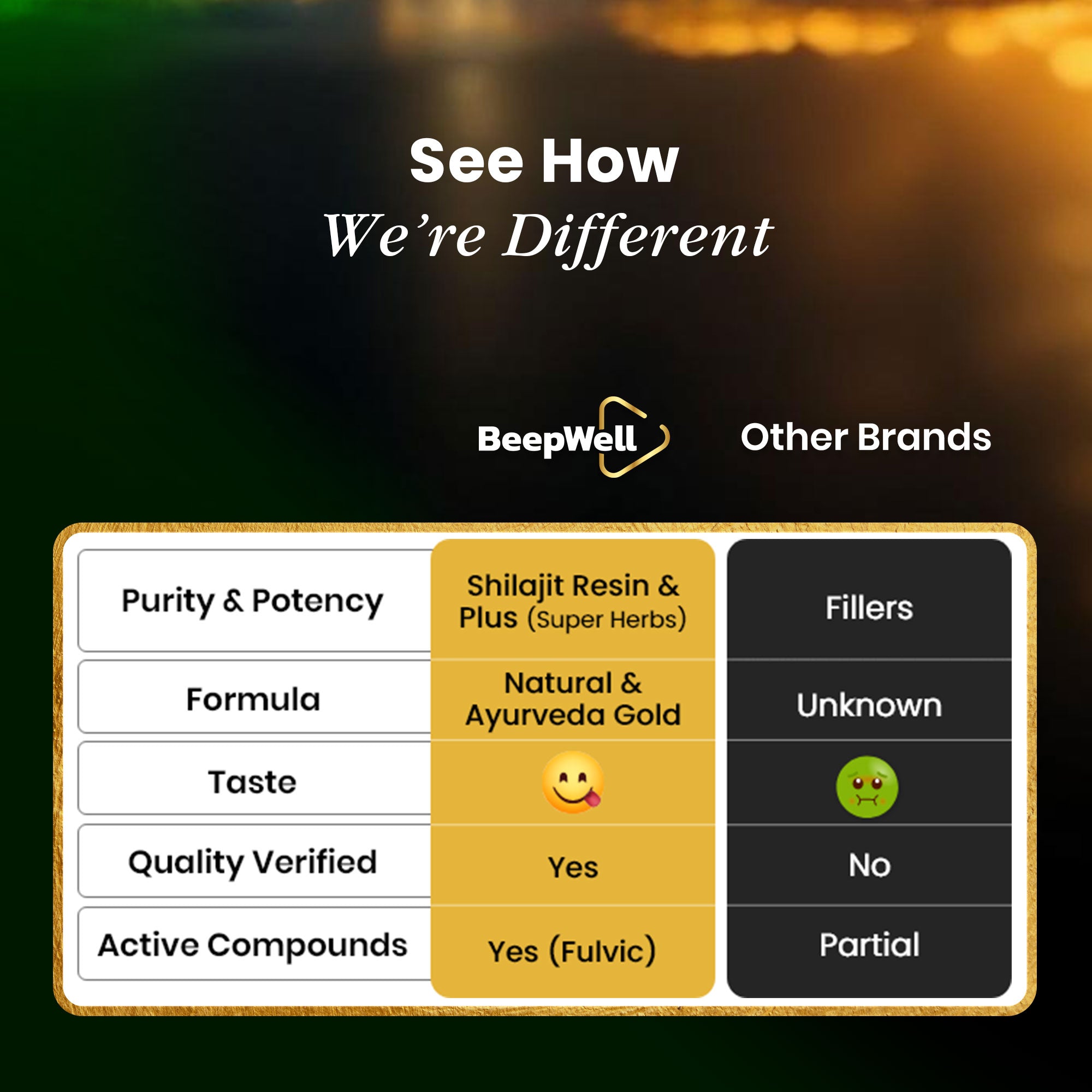 Himalayan Shilajit Resin Duo Bundle